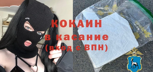 PSILOCYBIN Аркадак