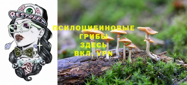 PSILOCYBIN Аркадак