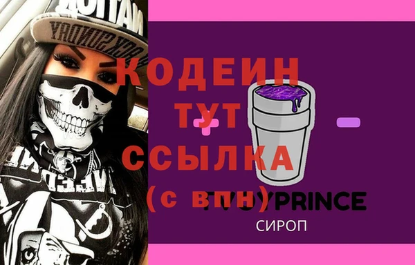 стаф Балахна