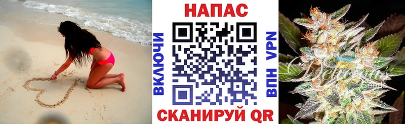 Бошки Шишки SATIVA & INDICA  купить наркотики цена  ссылка на мегу ссылки  Пыть-Ях 